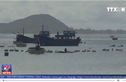 &#39;Thủ phủ&#39; nuôi tôm hùm của Phú Yên thiệt hại nặng do bão