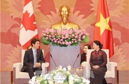 Chủ tịch Quốc hội Nguyễn Thị Kim Ngân tiếp Thủ tướng Canada 