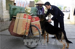 Ngăn chặn buôn lậu tuyến biên giới Lào Cai hoành hành cuối năm