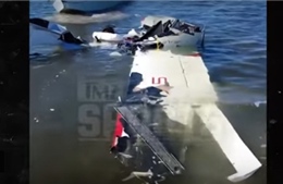 Khoảnh khắc máy bay rơi xuống vịnh, siêu sao bóng chày Roy Halladay tử nạn
