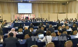 APEC 2017: Khai mạc Hội nghị Bộ trưởng TPP ở Đà Nẵng 