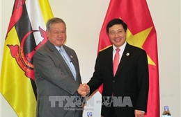 Đưa hợp tác Việt Nam - Brunei đi vào chiều sâu