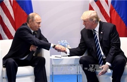 Tổng thống Mỹ sẽ không gặp Tổng thống Nga tại Đà Nẵng 