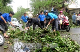 Kiểm tra công tác khắc phục hậu quả bão số 12 tại Phú Yên 