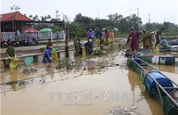 Thừa Thiên - Huế tập trung phòng, chống dịch bệnh sau mưa bão