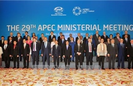 APEC sẽ tiếp tục thảo luận về kế hoạch hành động triển khai Tuyên bố Lima về FTAAP 