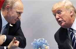 Cuộc gặp Putin-Trump tại Việt Nam sẽ xoay quanh việc gì?