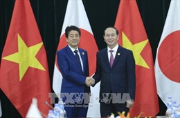 APEC 2017: Chủ tịch nước Trần Đại Quang tiếp Thủ tướng Nhật Bản 