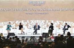 Tầm nhìn APEC sau năm 2020 - Thúc đẩy sử dụng hiệu quả các nguồn lực và công nghệ