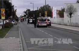 Pháp: Đâm xe tại Toulouse, 3 người bị thương 