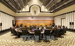 Khai mạc Hội nghị các nhà lãnh đạo kinh tế APEC 25