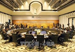 Chủ tịch nước Trần Đại Quang chủ trì Hội nghị Cấp cao lần thứ 25 các nhà Lãnh đạo kinh tế APEC