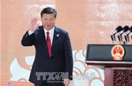 Tổng Bí thư, Chủ tịch Trung Quốc Tập Cận Bình thăm cấp Nhà nước tới Việt Nam 