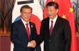 APEC 2017: Chủ tịch Trung Quốc gặp lãnh đạo Nhật Bản và Hàn Quốc 