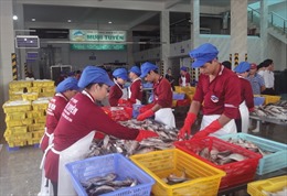 Kí kết tiêu thụ nông, hải sản an toàn giữa TP Hồ Chí Minh và Bình Thuận