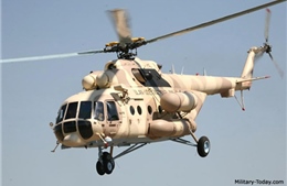 Rơi trực thăng ở Iraq, 7 thành viên phi hành đoàn thiệt mạng