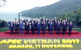 Chùm ảnh: Tuần lễ Cấp cao APEC 2017 tại Đà Nẵng thành công tốt đẹp
