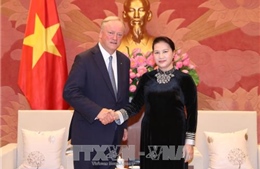 Chủ tịch Quốc hội Nguyễn Thị Kim Ngân tiếp Chủ tịch Hãng Deloitte Toàn cầu