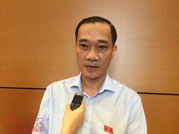 Chủ nhiệm Uỷ ban Kinh tế Vũ Hồng Thanh: Sắp xếp bộ máy TP Hồ Chí Minh tinh gọn, hiệu quả