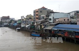 Vĩnh Long: 24 hộ dân sinh sống trong khu vực sạt lở nguy hiểm 