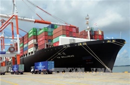 Đầu tư giao thông kết nối để tăng cường hiệu quả cảng biển Đông Nam Bộ 