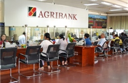 Agribank thuộc Top 20 doanh nghiệp nộp thuế lớn nhất Việt Nam