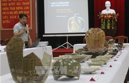 Khai quật được 30.000 di vật tại di chỉ Gò Cây Me, Bình Định