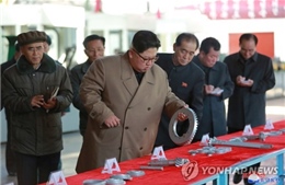 Tạm ngừng thử tên lửa, ông Kim Jong-un chuyển sang máy kéo