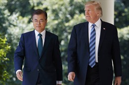 Sau chuyến thăm của Tổng thống Trump, quan hệ Mỹ-Hàn vẫn tồn tại khác biệt