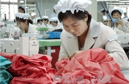 Bình Nhưỡng đề nghị Nga cho phép công nhân Triều Tiên ở lại làm việc 