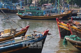 Ứng phó với bão số 14, Bình Thuận cấm tàu ra biển 