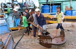 Ngư dân Khánh Hòa, Bình Thuận khẩn trương di dời tàu thuyền tránh trú bão số 14