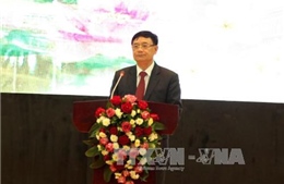Phó Trưởng Ban Tổ chức Trung ương dự ngày hội Đại đoàn kết toàn dân tại TP. Bắc Ninh