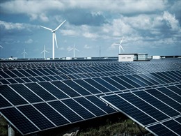 Trung Quốc và Ukraine thúc đẩy hợp tác trong lĩnh vực năng lượng tái tạo