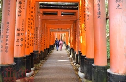 Chiêm ngưỡng ngôi đền nghìn cổng ở Nhật Bản
