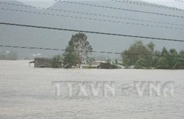 Lũ các sông từ Quảng Nam đến Phú Yên lên lại, đề phòng ngập lụt