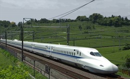 Năm 2019, báo cáo thông qua chủ trương đầu tư đường sắt tốc độ cao