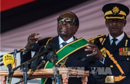 Các bộ trưởng tẩy chay cuộc họp nội các của Tổng thống Mugabe