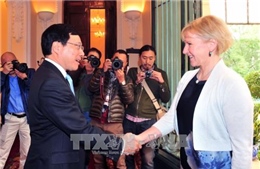 Phó Thủ tướng Phạm Bình Minh hội đàm với Bộ trưởng Ngoại giao Thụy Điển 