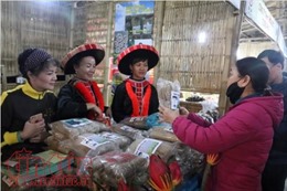 Khai mạc Hội chợ Đặc sản Vùng miền Việt Nam 2017