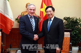 Phó Thủ tướng Phạm Bình Minh tiếp Bộ trưởng Giáo dục và Kỹ năng Ireland