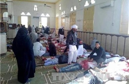 Nhiều nước đồng loạt lên án vụ tấn công đền thờ Hồi giáo Ai Cập