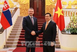 Thúc đẩy xúc tiến thương mại, đầu tư giữa Việt Nam và Slovakia 