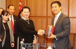 Chủ tịch Quốc hội Nguyễn Thị Kim Ngân hội đàm với Chủ tịch Quốc hội Singapore