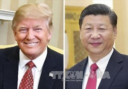 Tổng thống Trump kêu gọi Trung Quốc thuyết phục Triều Tiên chấm dứt khiêu khích 