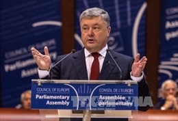 Ukraine cân nhắc trưng cầu ý dân về gia nhập NATO và EU