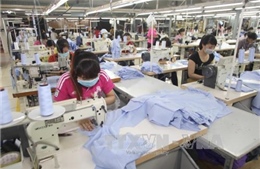 Kim ngạch xuất khẩu dệt may đạt 31 tỷ USD 