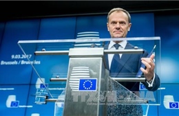 Hội đồng châu Âu thông qua quy định mới chống gian lận thương mại 