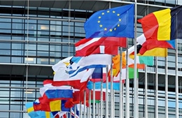 Mâu thuẫn trong từng nước thành viên – mối lo lớn của EU