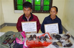 Phối hợp trấn áp tội phạm ma túy trên tuyến biên giới Việt - Trung 